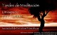 publicidadmeditacion_pequeno (6K)